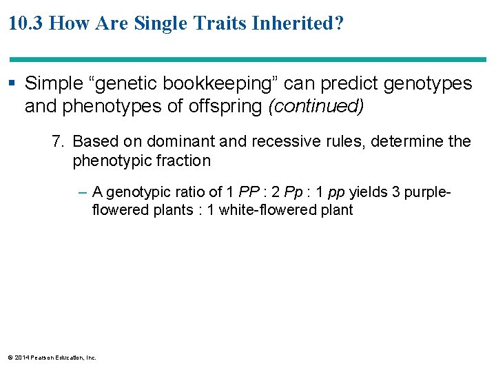 10. 3 How Are Single Traits Inherited? § Simple “genetic bookkeeping” can predict genotypes