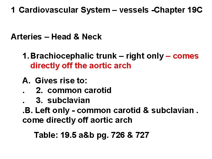 1 Cardiovascular System – vessels -Chapter 19 C Arteries – Head & Neck 1.