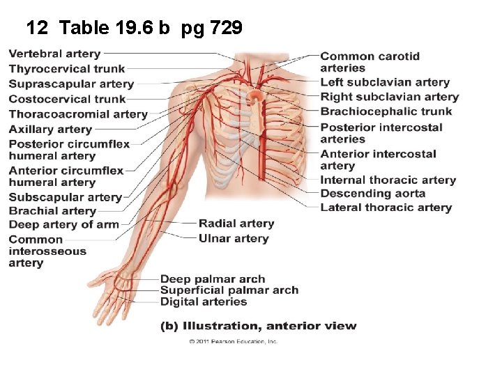 12 Table 19. 6 b pg 729 