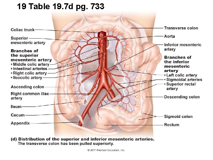 19 Table 19. 7 d pg. 733 