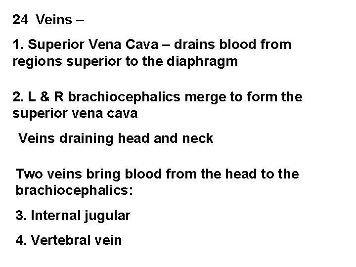 24 Veins – 1. Superior Vena Cava – drains blood from regions superior to