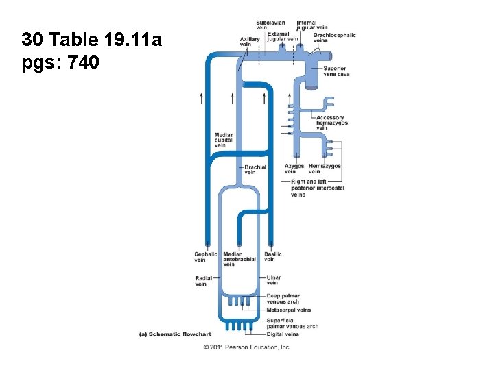 30 Table 19. 11 a pgs: 740 