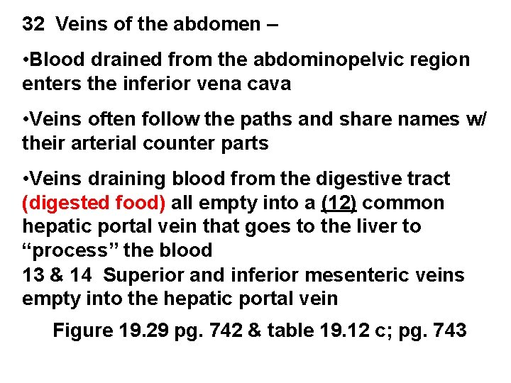 32 Veins of the abdomen – • Blood drained from the abdominopelvic region enters