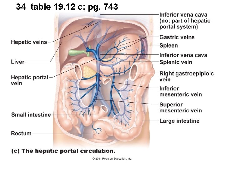 34 table 19. 12 c; pg. 743 