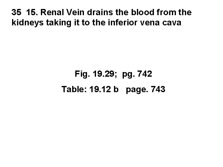 35 15. Renal Vein drains the blood from the kidneys taking it to the