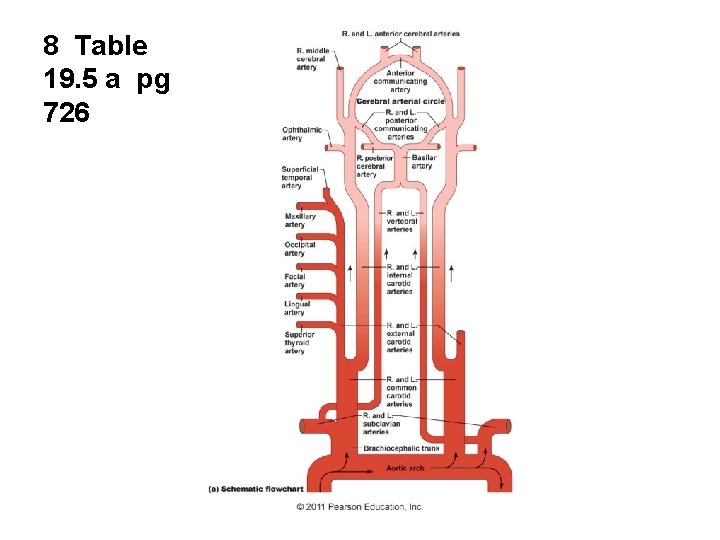 8 Table 19. 5 a pg 726 