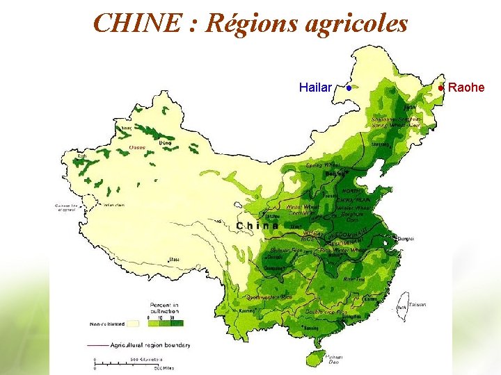 CHINE : Régions agricoles Hailar ● ● Raohe 