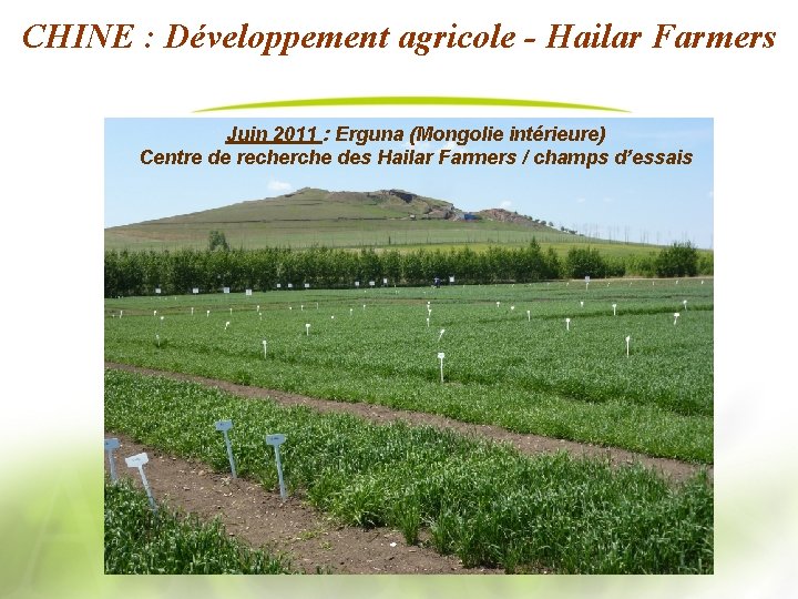 CHINE : Développement agricole - Hailar Farmers Juin 2011 : Erguna (Mongolie intérieure) Centre