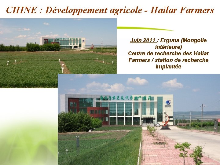 CHINE : Développement agricole - Hailar Farmers Juin 2011 : Erguna (Mongolie intérieure) Centre