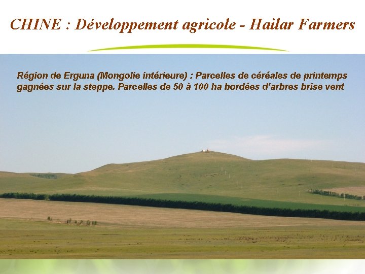 CHINE : Développement agricole - Hailar Farmers Région de Erguna (Mongolie intérieure) : Parcelles