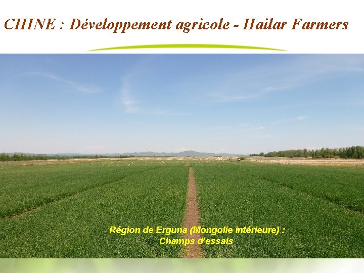 CHINE : Développement agricole - Hailar Farmers Région de Erguna (Mongolie intérieure) : Champs