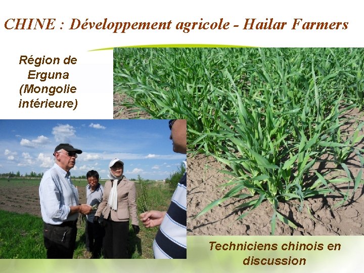 CHINE : Développement agricole - Hailar Farmers Région de Erguna (Mongolie intérieure) Techniciens chinois