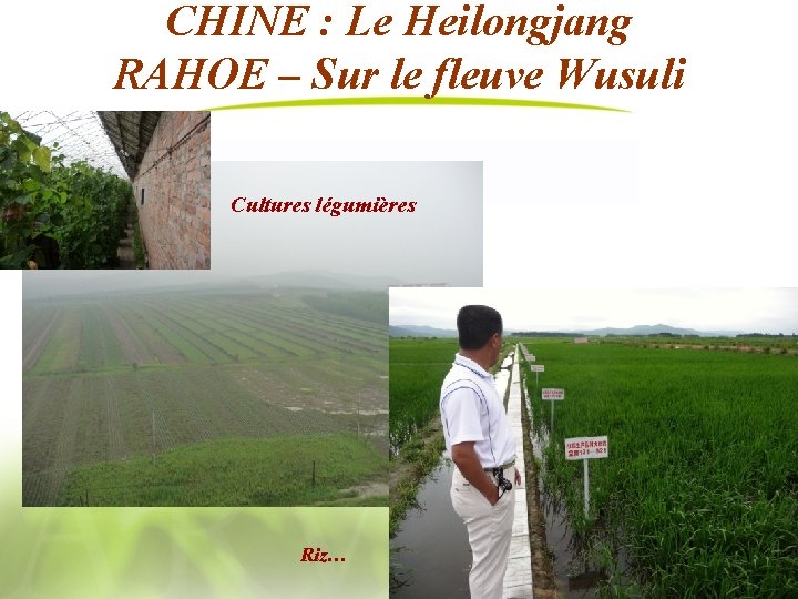 CHINE : Le Heilongjang RAHOE – Sur le fleuve Wusuli Cultures légumières Riz… 