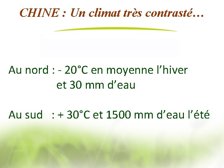 CHINE : Un climat très contrasté… Au nord : - 20°C en moyenne l’hiver