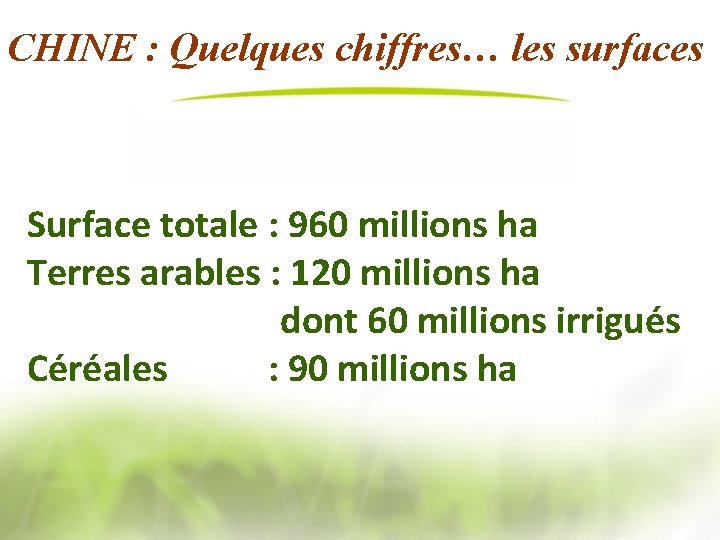 CHINE : Quelques chiffres… les surfaces Surface totale : 960 millions ha Terres arables