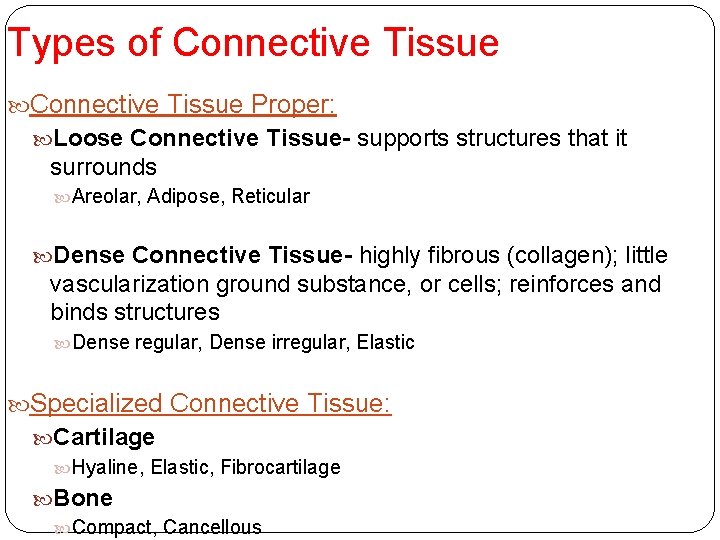 Types of Connective Tissue Proper: Loose Connective Tissue- supports structures that it surrounds Areolar,