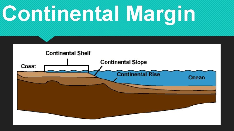 Continental Margin 