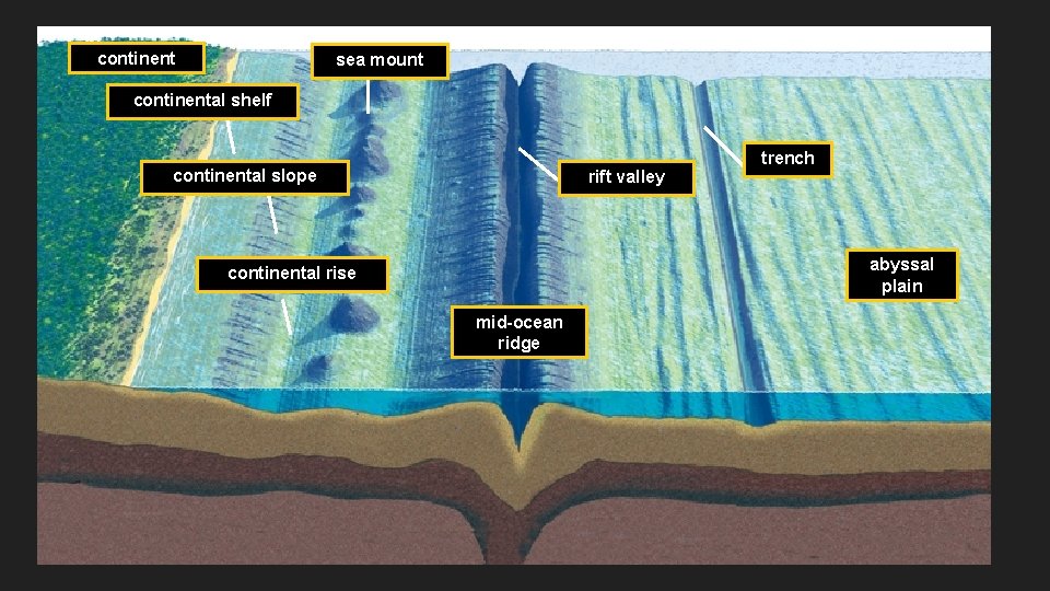 continent sea mount continental shelf continental slope rift valley trench abyssal plain continental rise