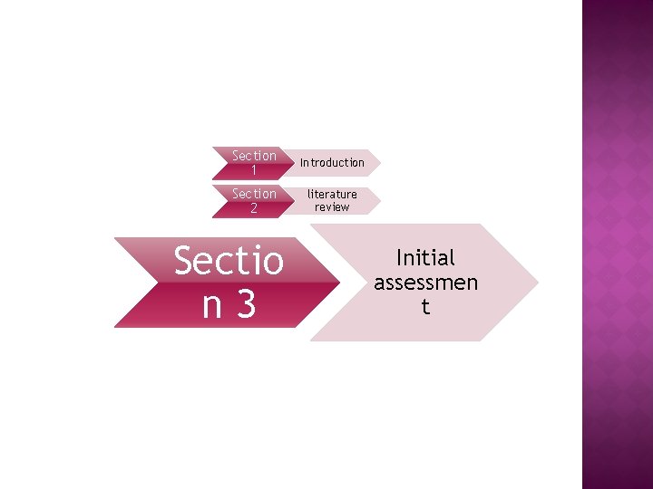 Section 1 Introduction Section 2 literature review Sectio n 3 Initial assessmen t 