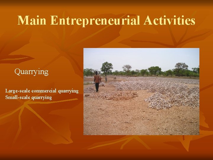 Main Entrepreneurial Activities Quarrying Large-scale commercial quarrying Small-scale quarrying 