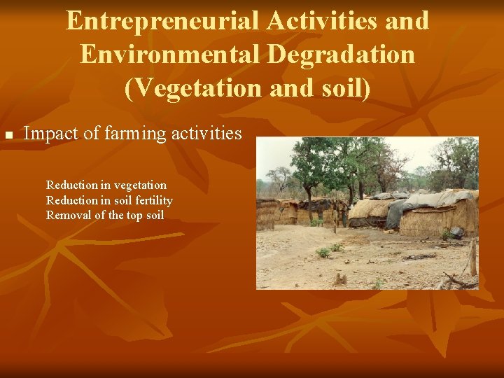 Entrepreneurial Activities and Environmental Degradation (Vegetation and soil) n Impact of farming activities Reduction