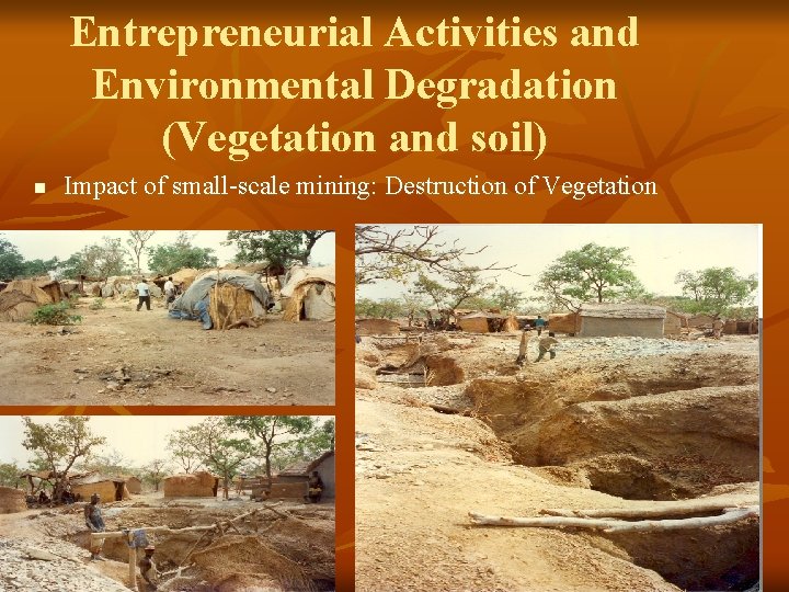 Entrepreneurial Activities and Environmental Degradation (Vegetation and soil) n Impact of small-scale mining: Destruction