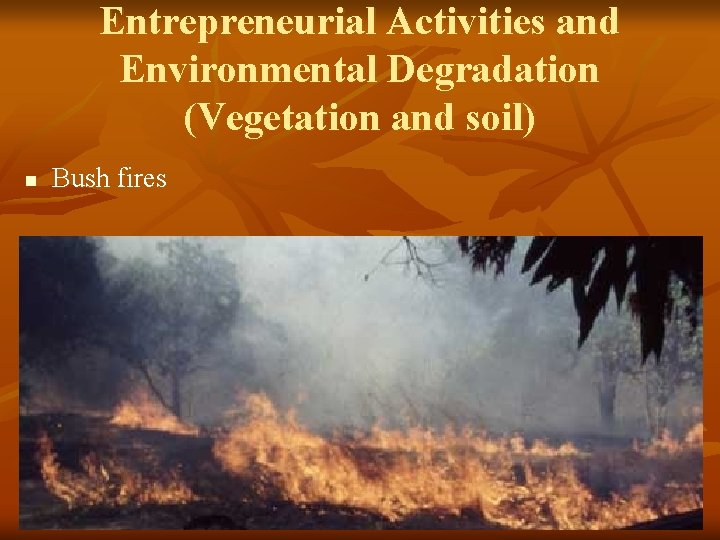 Entrepreneurial Activities and Environmental Degradation (Vegetation and soil) n Bush fires 