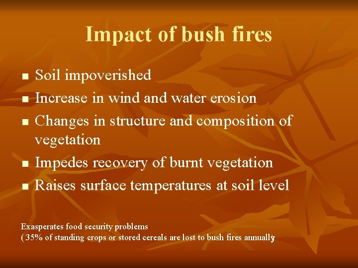 Impact of bush fires n n n Soil impoverished Increase in wind and water