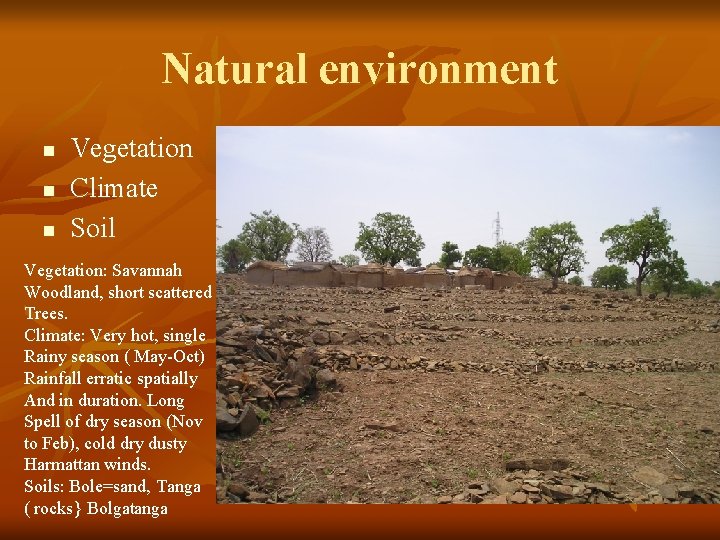 Natural environment n n n Vegetation Climate Soil Vegetation: Savannah Woodland, short scattered Trees.