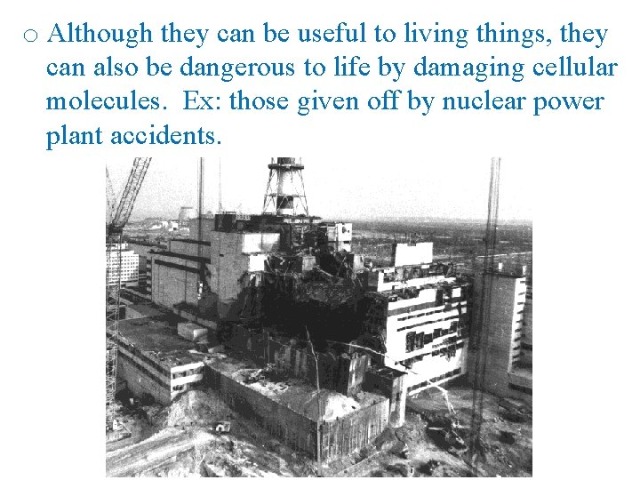 o Although they can be useful to living things, they can also be dangerous