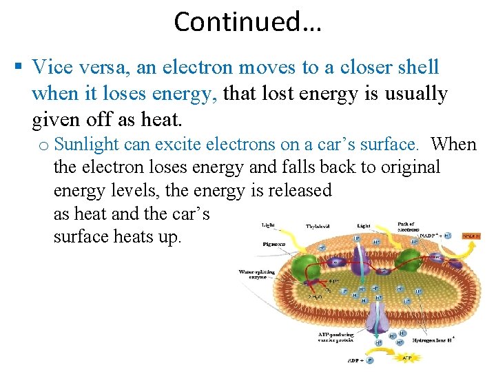 Continued… Vice versa, an electron moves to a closer shell when it loses energy,