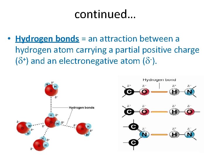 continued… • Hydrogen bonds = an attraction between a hydrogen atom carrying a partial