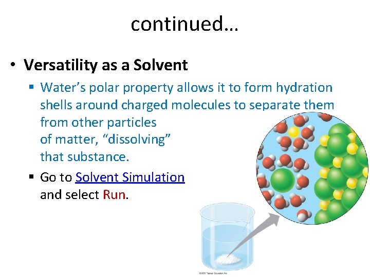 continued… • Versatility as a Solvent Water’s polar property allows it to form hydration