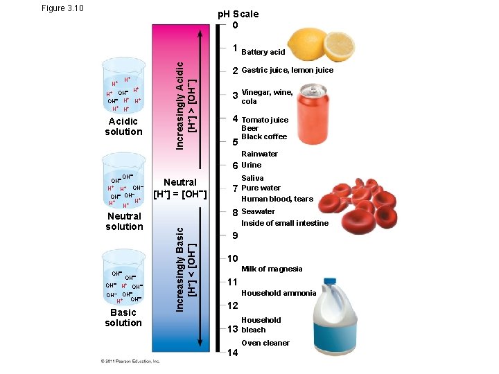 Figure 3. 10 H+ H+ + OH H H+ H+ Acidic solution Increasingly Acidic