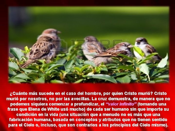 ¿Cuánto más sucede en el caso del hombre, por quien Cristo murió? Cristo murió