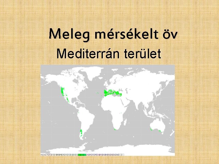 Meleg mérsékelt öv Mediterrán terület 