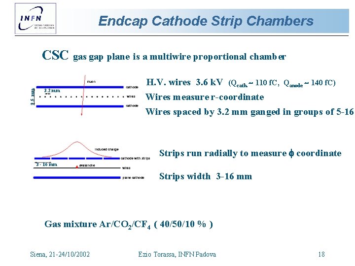 Endcap Cathode Strip Chambers 9. 5 mm CSC gas gap plane is a multiwire Endcap Cathode Strip Chambers 9. 5 mm CSC gas gap plane is a multiwire