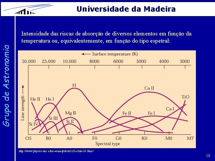 Universidade da Madeira Grupo de Astronomia Intensidade das riscas de absorção de diversos elementos
