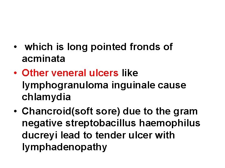  • which is long pointed fronds of acminata • Other veneral ulcers like