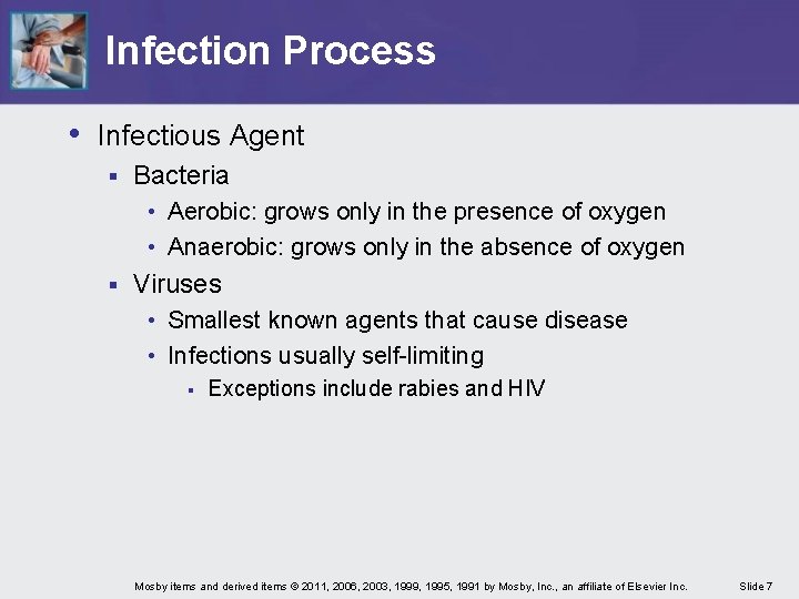 Infection Process • Infectious Agent § Bacteria • Aerobic: grows only in the presence