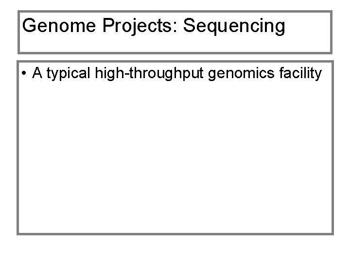 Genome Projects: Sequencing • A typical high-throughput genomics facility 