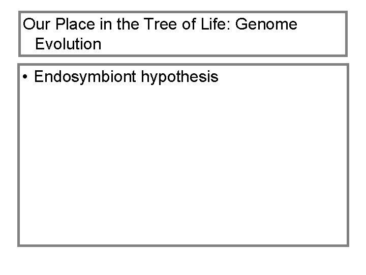 Our Place in the Tree of Life: Genome Evolution • Endosymbiont hypothesis 