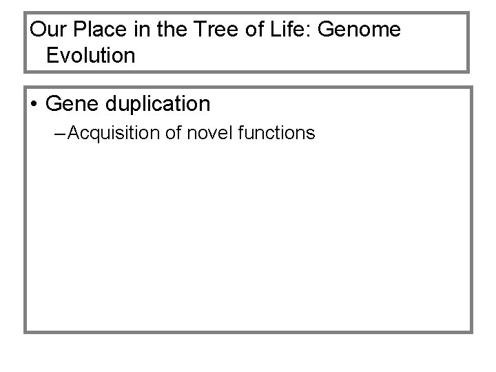 Our Place in the Tree of Life: Genome Evolution • Gene duplication – Acquisition