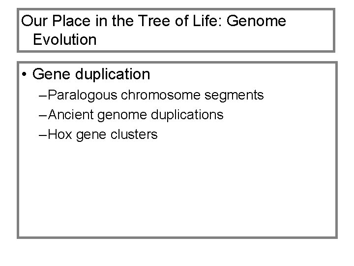 Our Place in the Tree of Life: Genome Evolution • Gene duplication – Paralogous