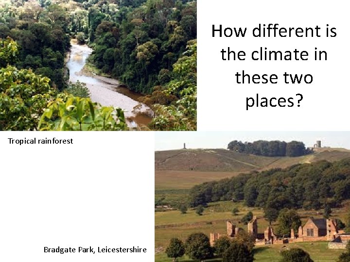 How different is the climate in these two places? Tropical rainforest Bradgate Park, Leicestershire
