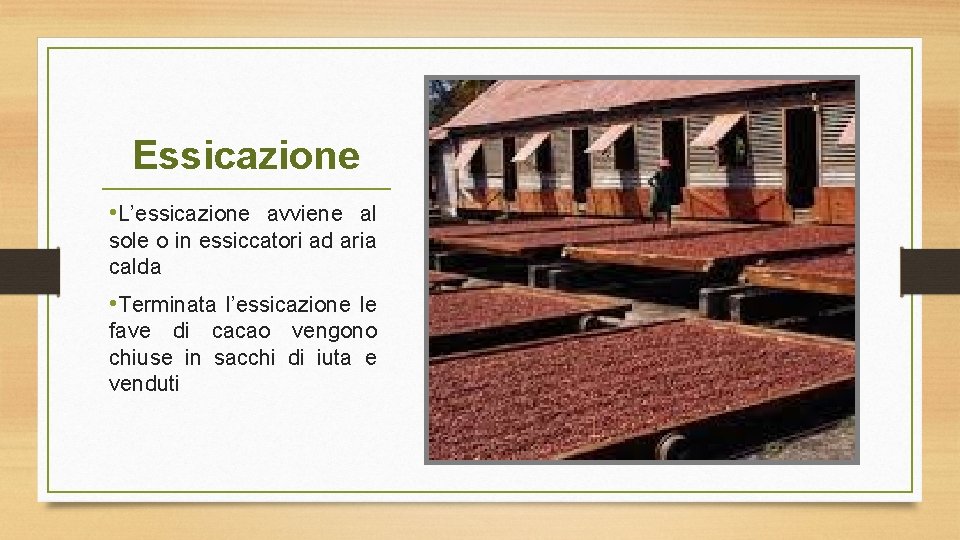 Essicazione • L’essicazione avviene al sole o in essiccatori ad aria calda • Terminata