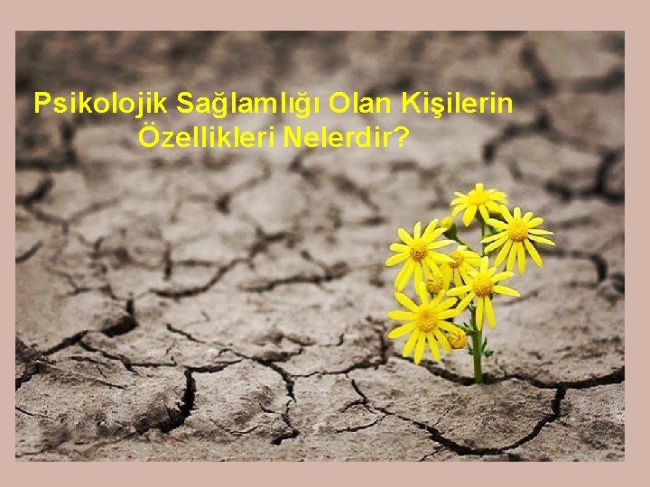 Psikolojik Sağlamlığı Olan Kişilerin Özellikleri Nelerdir? Psikolojik Sağlamlığı Olan Kişilerin Özellikleri Nelerdir?