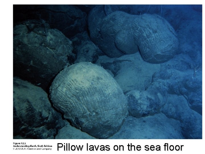 Pillow lavas on the sea floor 