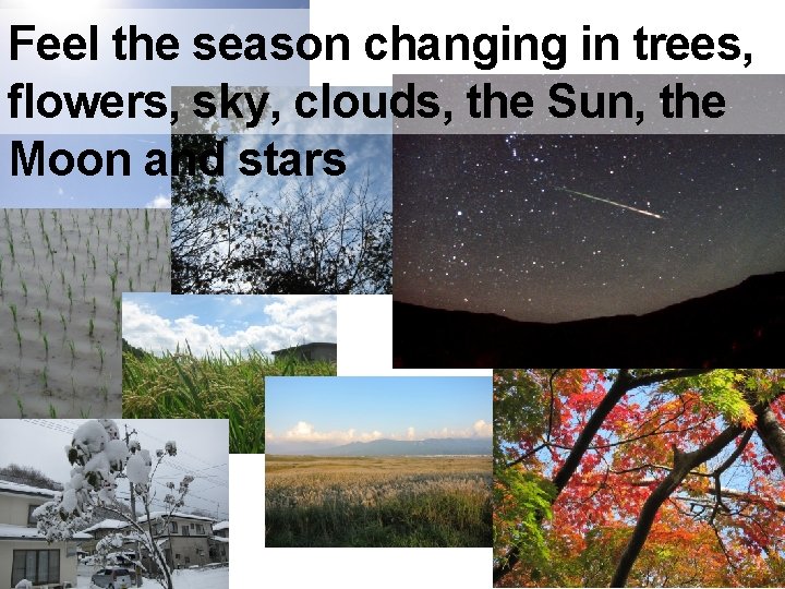 Feel the season changing in trees, flowers, sky, clouds, the Sun, the Moon and