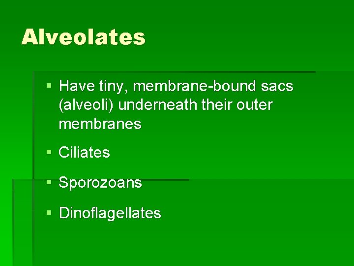 Alveolates § Have tiny, membrane-bound sacs (alveoli) underneath their outer membranes § Ciliates §